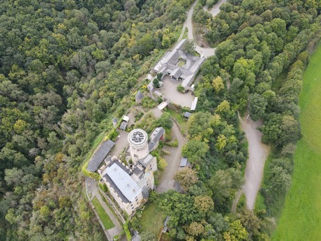Roes - Burg Pyrmont